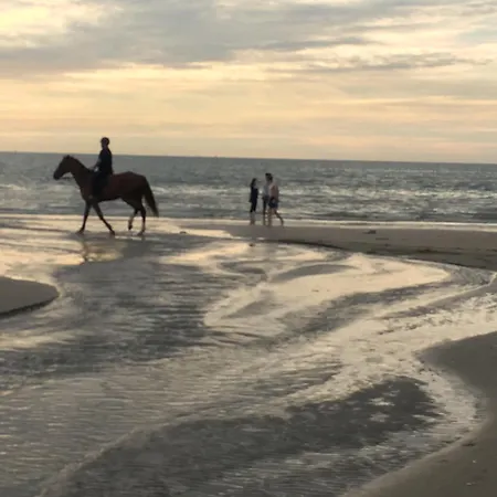 Appartement Le Marina Fenetre Sur Deauville