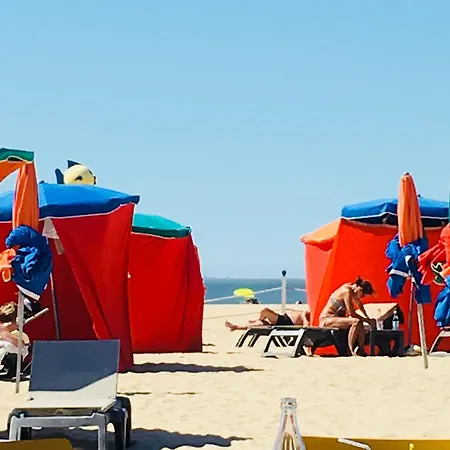 Le Marina Fenetre Sur Apartment