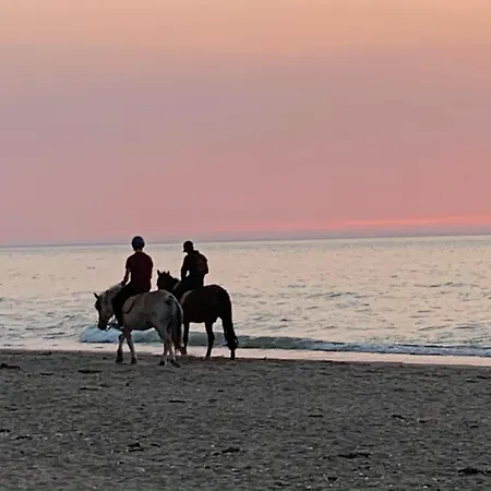 Le Marina Fenetre Sur *