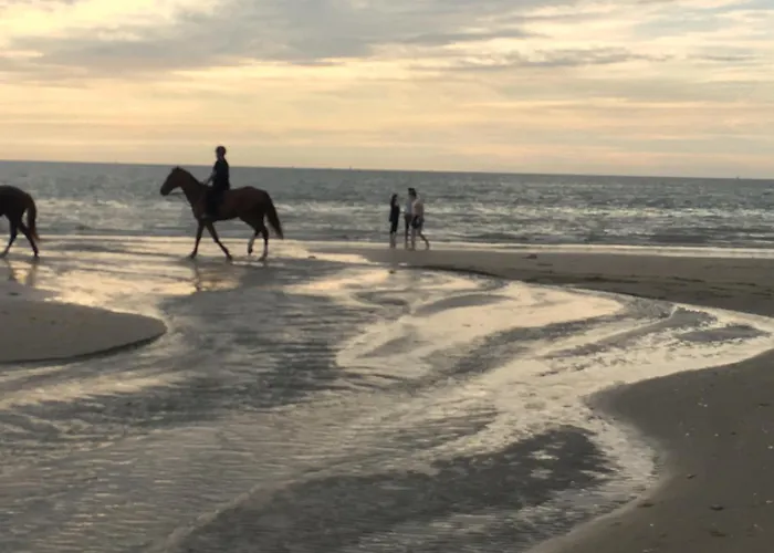 Διαμέρισμα Le Marina Fenetre Sur Ντοβίλ