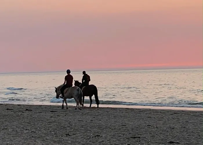 Le Marina Fenetre Sur *